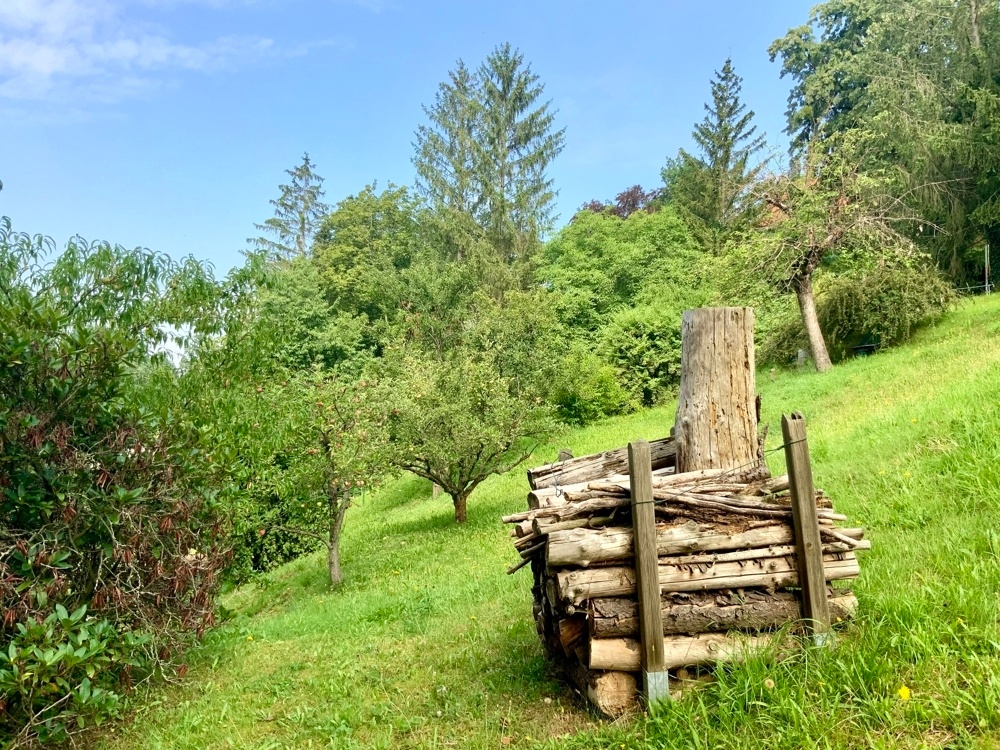 Ausgedehnte Rasenflächen