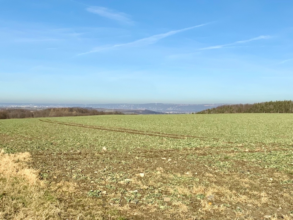 Blick nach Dresden ins Elbtal