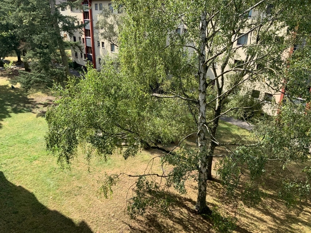 Ausblick Schlafzimmer