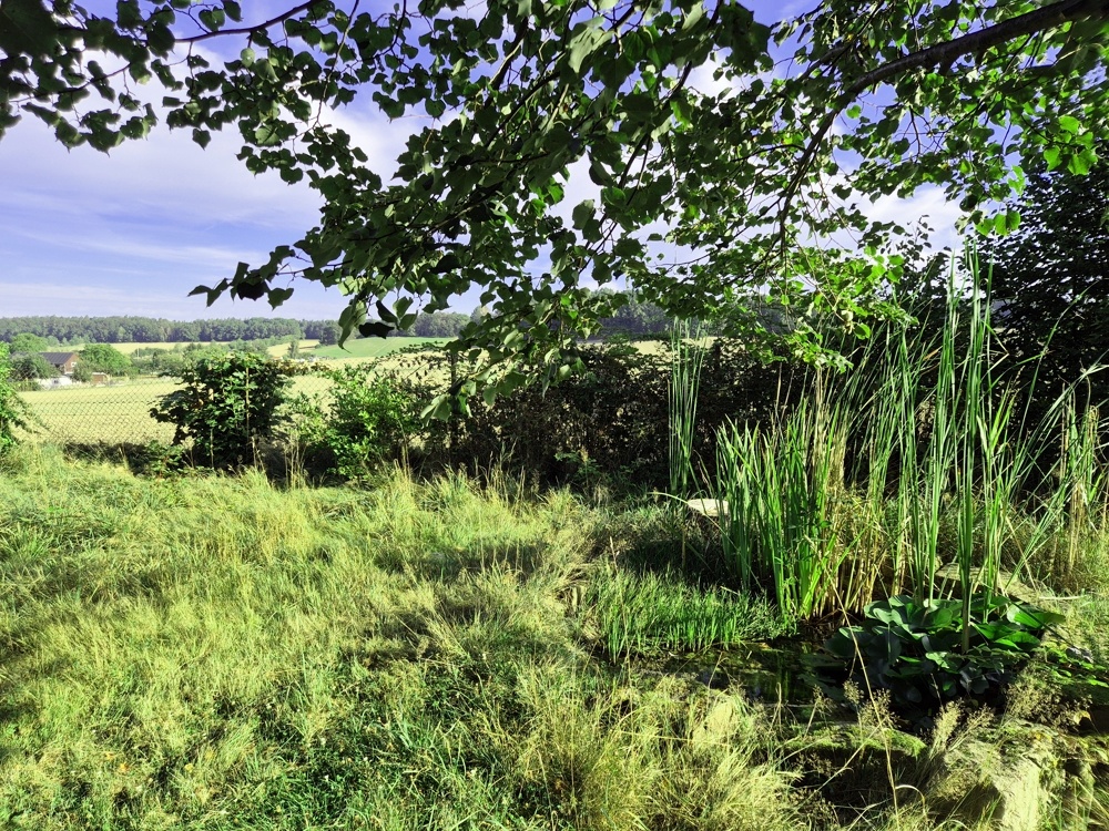 Blick über das angrenzende Feld