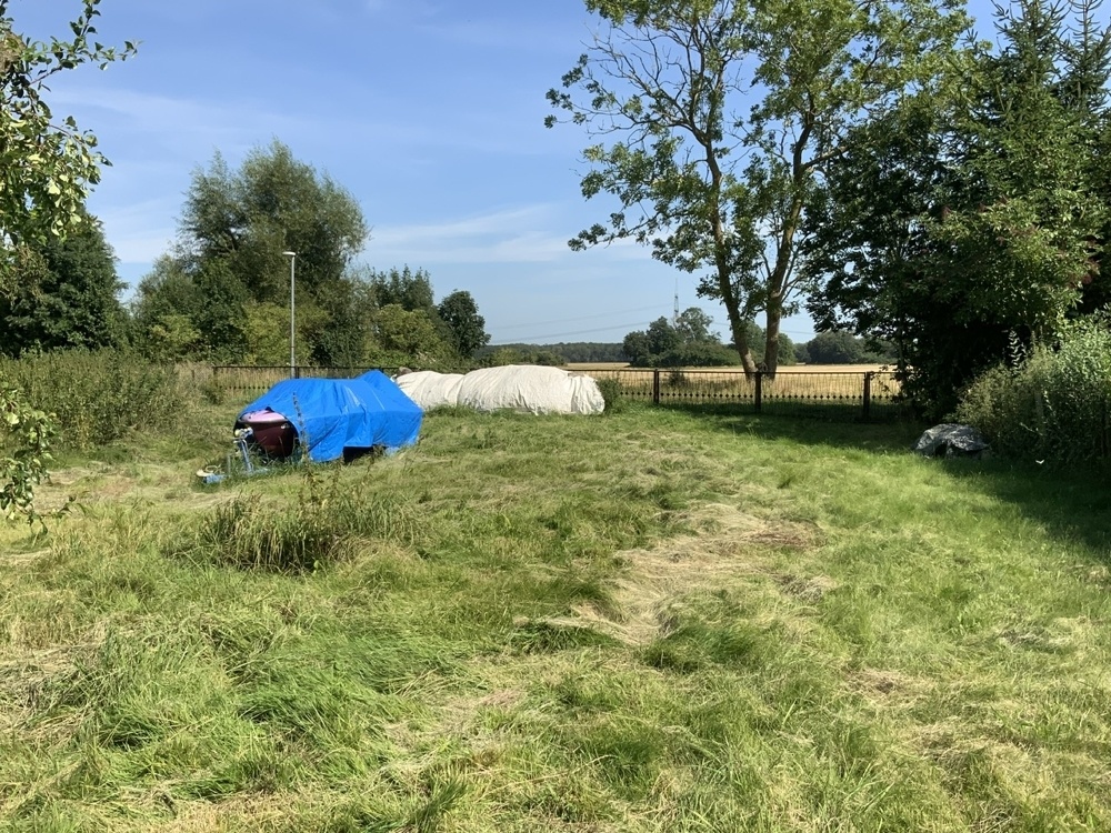 Blick vom Grundstück über Feld und Wiese