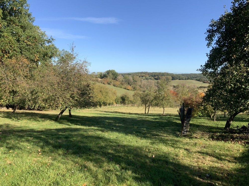 Obstgarten und Ausblick