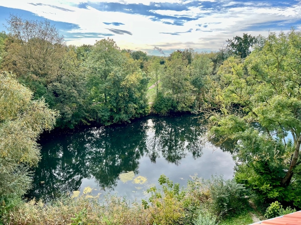 Blick auf den Teich