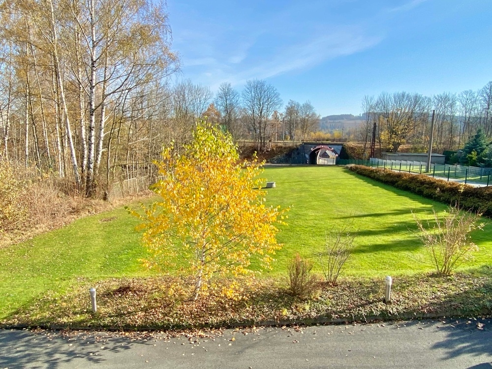 Blick in den Garten